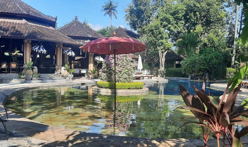 Rambutan Hotel Ловіна Екстер'єр фото