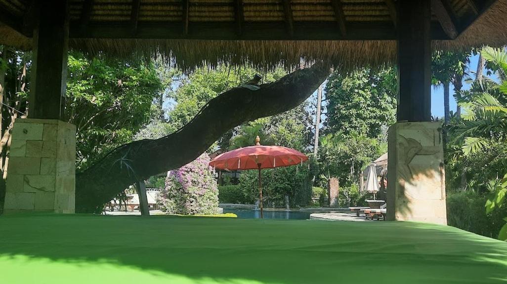 Rambutan Hotel Ловіна Екстер'єр фото